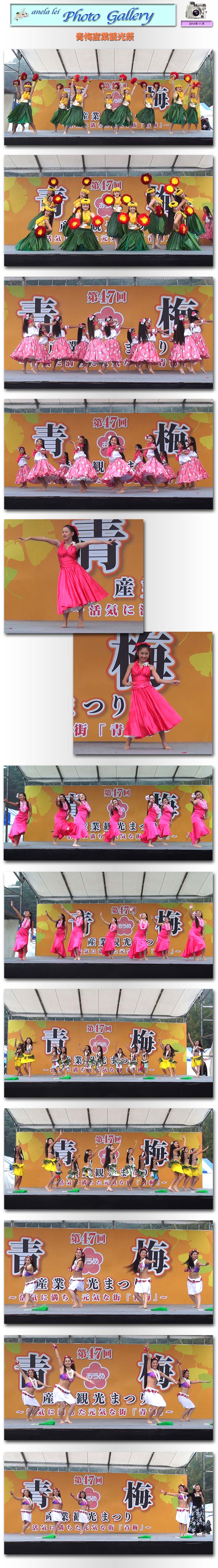 photoalbum