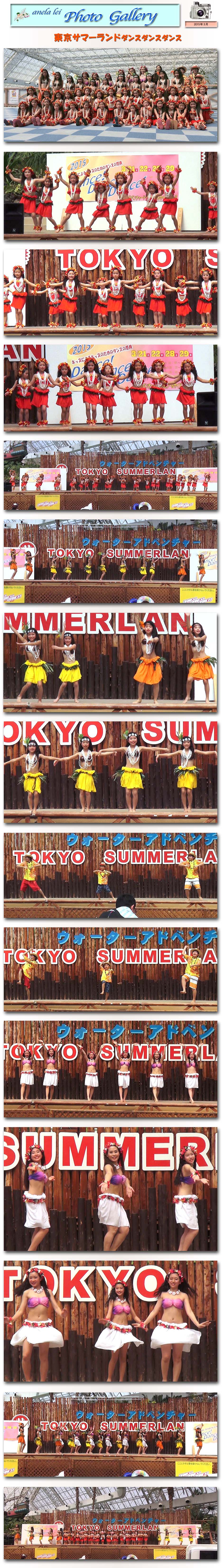 photoalbum