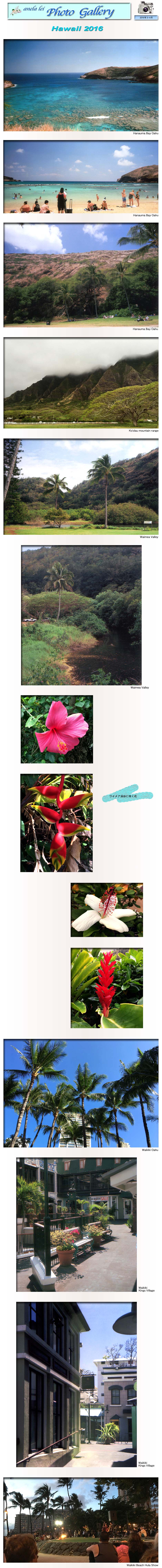 photoalbum